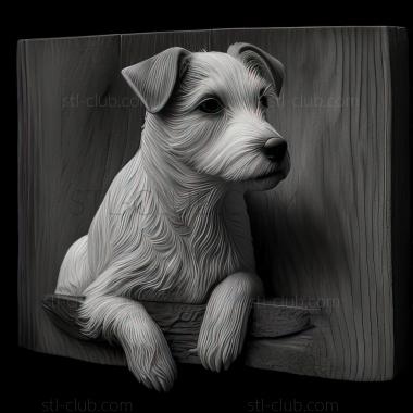 3D model st Parson Russell Terrier dog (STL)